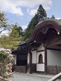 Spring Getaway: Ohara Sanzen-in Temple🌸
