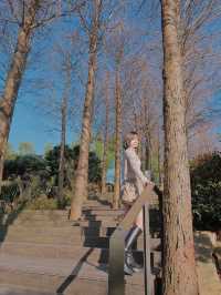 苗栗秘境！預約制入園，美景美食美展一次滿足