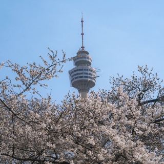 SPRINGTIME MAGIC | EXPLORING E-WORLD DAEGU