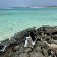 Maafushi Island ' 🌺🌴 ไปนอนเกาะโลคอลในประเทศมัลดี