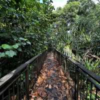 West Coast Park Singapore: Camp, Jog, Fish & Play – Your Ultimate Family Weekend Playground! 🏕️⚾