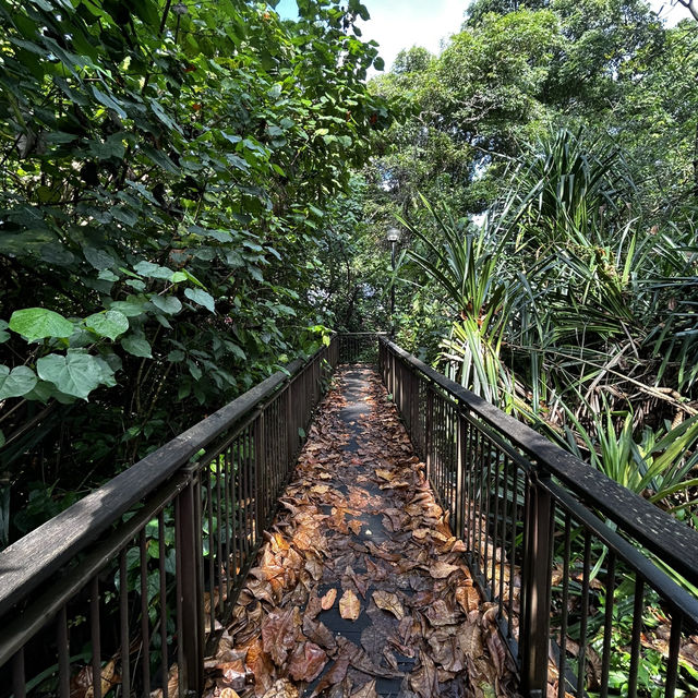 West Coast Park Singapore: Camp, Jog, Fish & Play – Your Ultimate Family Weekend Playground! 🏕️⚾