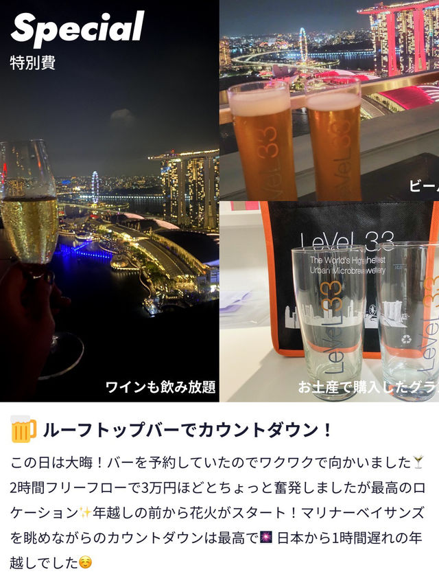 カップルで年越し🎉3泊5日のシンガポール旅費公開✨