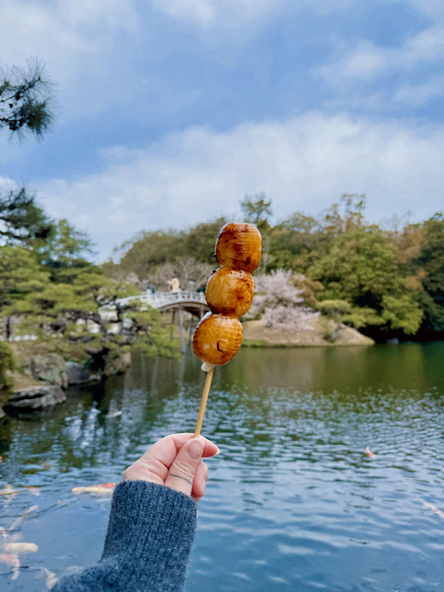 일본 자연 끝판왕 이 곳이에요🇯🇵
