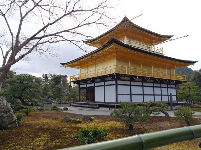 🇯🇵간사이 여행 교토 가볼만한 곳, 금각사(킨카쿠지)🇯🇵