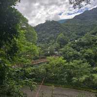 五峰清泉天主堂附近賞櫻區