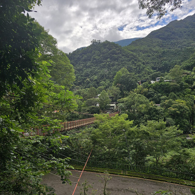 五峰清泉天主堂附近賞櫻區