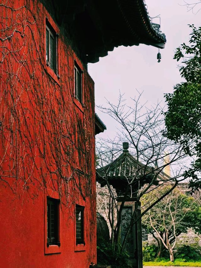 中國上海著名景點：廣富林文化遺址，適合打卡拍照📸