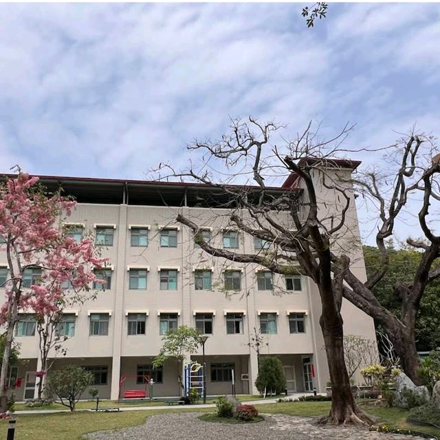 佛光山佛陀紀念館｜「宗教聖地中的櫻花雅韻」