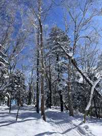 1st Snow in Harbin 2025