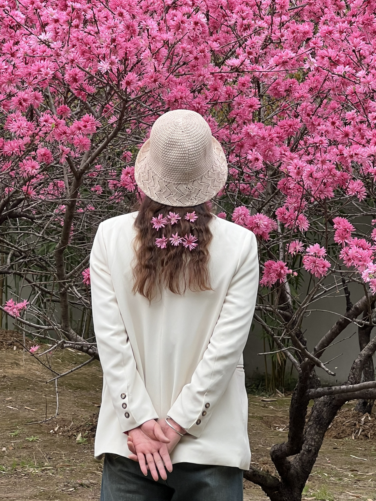 #cherryblossom25 #Shahupark #wuhanparks #travel #Malaysianinchina
看看這些照片！很漂亮不是嗎？這個地方位於中國武漢沙湖公園。我於2025年4月1日來到這裡，很高興我還有機會欣賞中國如此美麗的櫻花。入場免費。您可以來這裡看看當地人的熱鬧和生活方式。許多當地人喜歡在這裡休閒娛樂。還有許多景點可以拍照。這裡非常適合您與家人一起放鬆身心，享受忙碌一天後的寧靜與舒適。我真心推薦這個地方。 