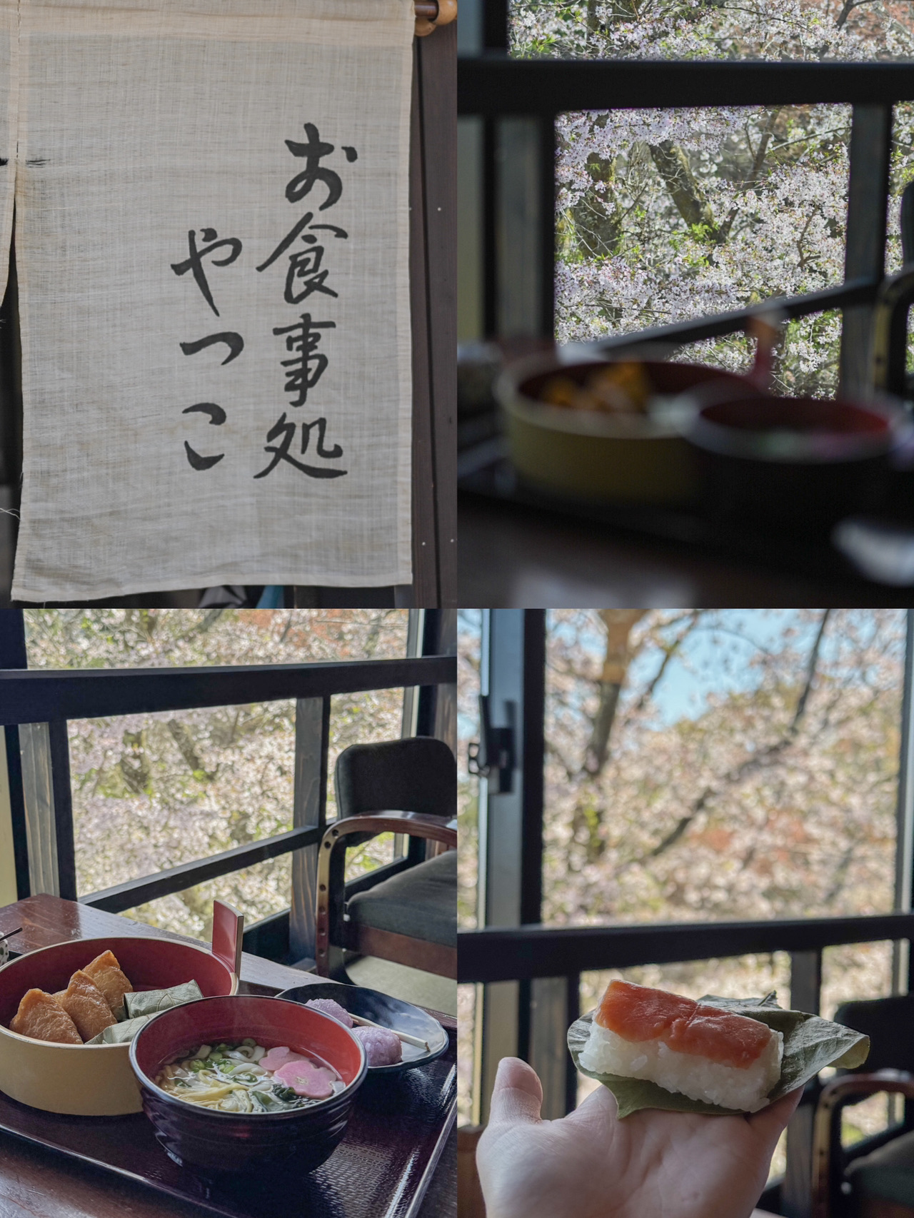 一生に一度は訪れたい‼️奈良・吉野山の桜🌸 | Trip.com 吉野町