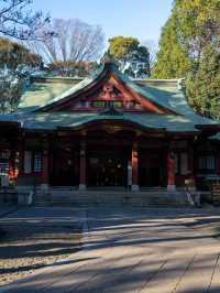 宮ノ下駅にある厳島神社周辺スナップ⛩️
