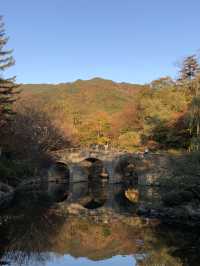 ⛩️고요함부터 힙함까지, 경주 하루 코스 추천