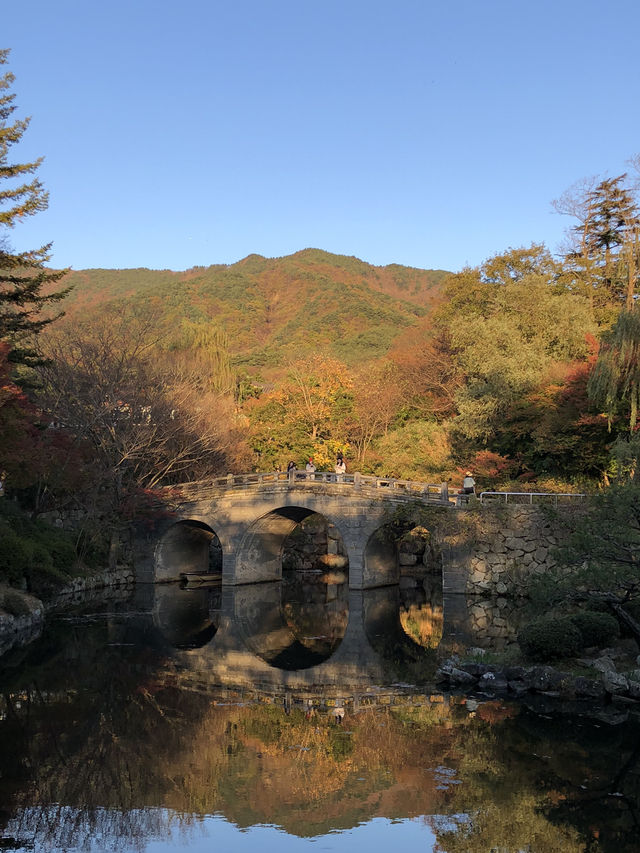 ⛩️고요함부터 힙함까지, 경주 하루 코스 추천