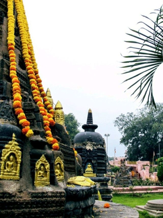 🇮🇳 摩訶菩提寺🛕佛陀在此菩提樹下成道