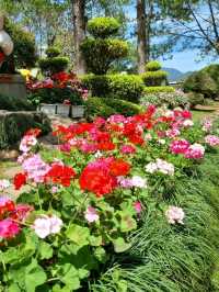 FLORAL PARADISE WORTH EXPLORING