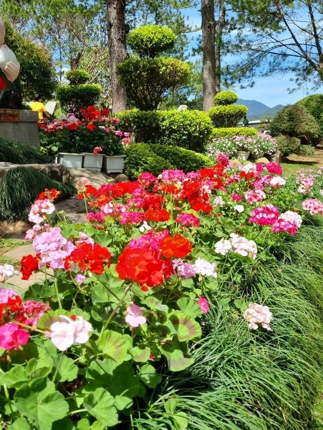 FLORAL PARADISE WORTH EXPLORING
