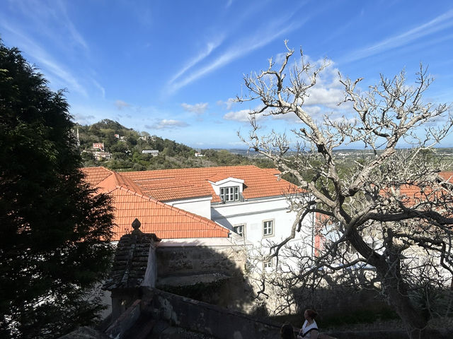 Gardens with a view 