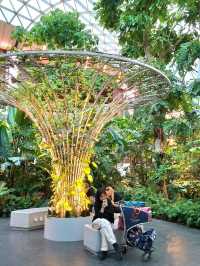 DISCOVER THIS GREEN GEM IN HAMAD INTERNATIONAL AIRPORT