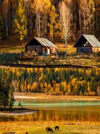 Beneath the Birch: Discovering Altay’s Golden Season