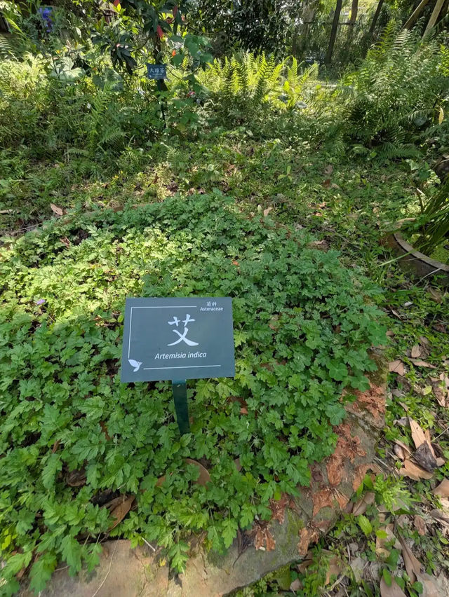Taipei Botanical Garden