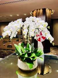 “Grand Elegance in the Heart of Bukit Bintang – Stay at Grand Millennium KL”