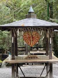 사랑❤️이 넘처나는 노노미야 신사⛩️ 연분을 맺어보세요! "Nonomiya Shrine"