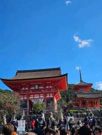 京阪一日賞楓行程，東福寺紅葉海 × 大阪城金秋散步