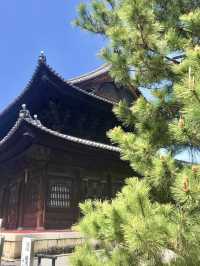 Spring Stroll at Myōshin-ji Temple – A Grand Zen Experience