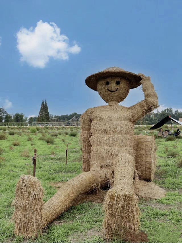 😍 "Should’ve Gone Sooner!" – Hidden Scenic Spots in Chengdu