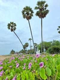 เดินเล่นชายหาดปราณบุรี 