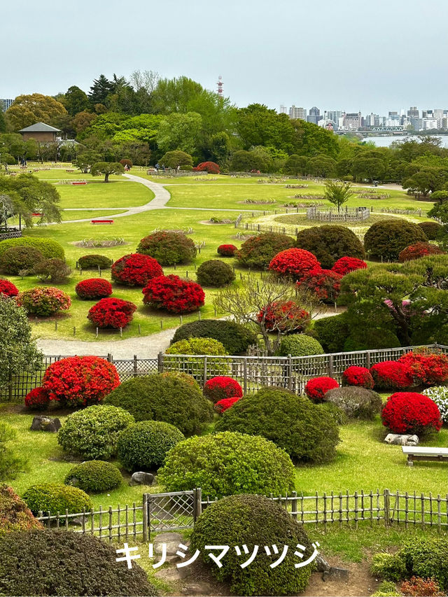 日本三名園　偕楽園