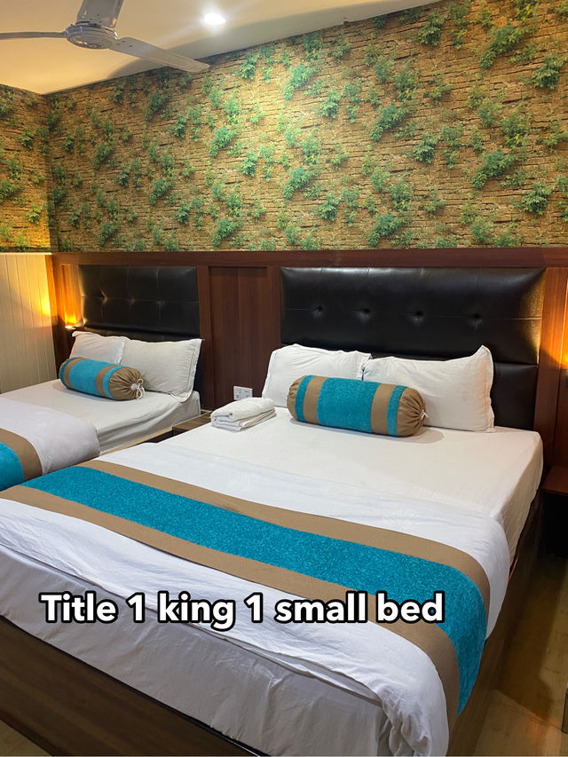 Ac deluxe room with River vew 