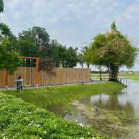 คาเฟ่สุดน่ารักกลางทุ่งนา กาญจนบุรี