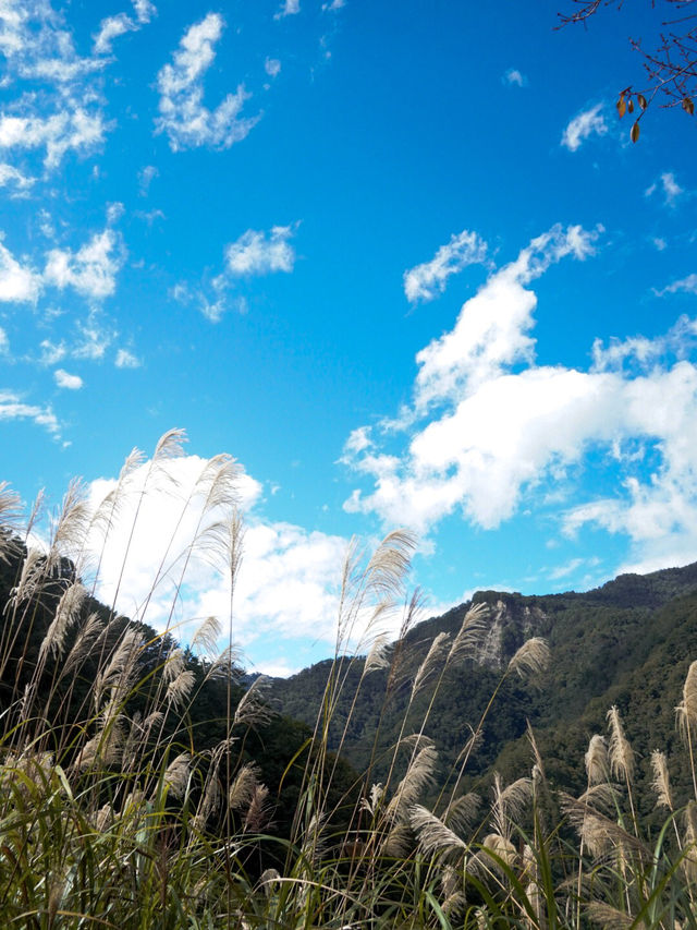 走進深山遺跡｜霞喀羅古道野營探險⛰️尋找被時間遺忘的美