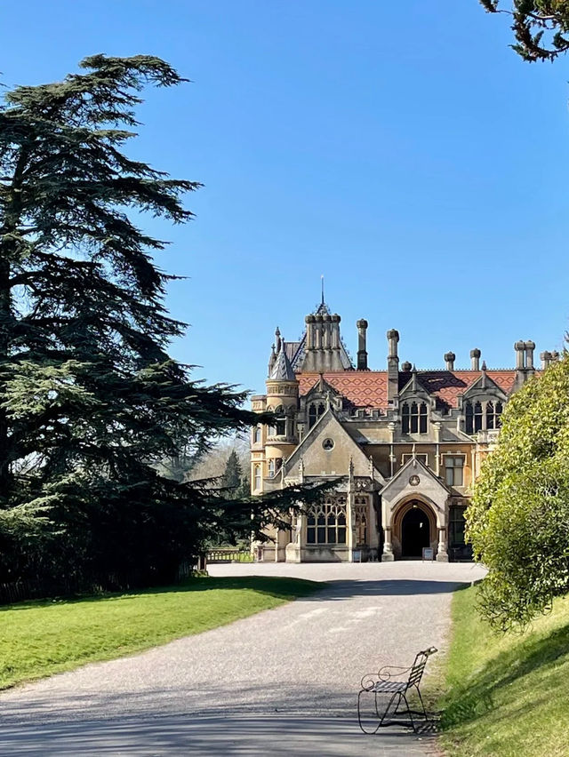 🌿 Springtime Must-Visit near Bristol｜Tyntesfield House