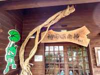 【千葉】東京から1番近い絶景棚田「大山千枚田」