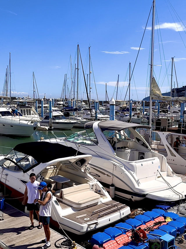 Busan Yacht Experience