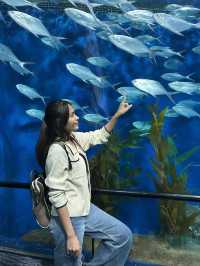 ไปดูปลาที่พิพิธภัณฑ์สัตว์น้ำเซี่ยงไฮ้กัน 🐠