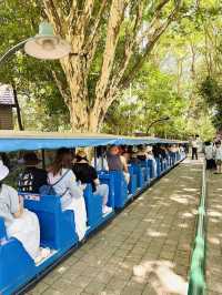 【ゴールドコースト】WILDLIFE SANCTUARY