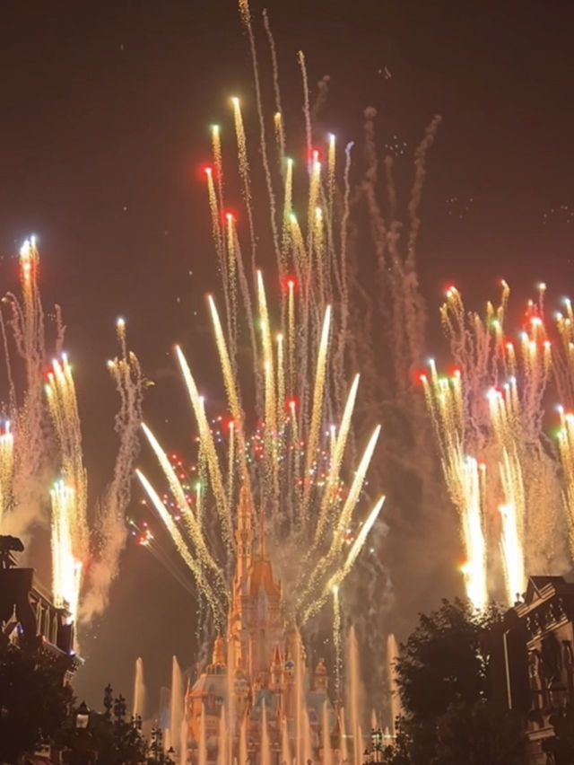 A day of magic, memories, and Mickey — Hong Kong Disneyland, you made my heart smile! 🫧