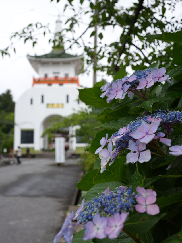 【茨城】そびえ立つ顔だけの像