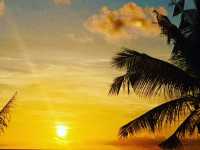 Beautiful sunrise