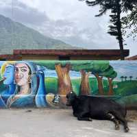Rishikesh Day Trip Itinerary