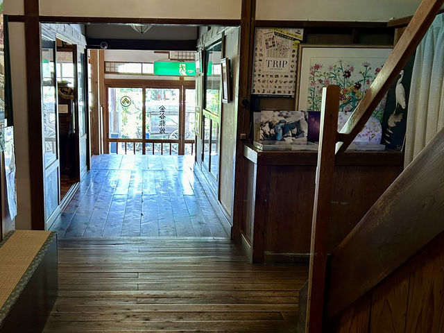 【静岡県 下田市】金谷旅館