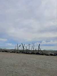 🇳🇿鈕西蘭 西海岸 Hokitika：海邊、森林、樹頂、藍河