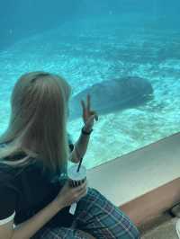 好玩程度破表！曼谷 Safari World 是我心中 No.1 的動物園