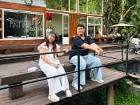 บ้านในหมง treehouse ระนอง