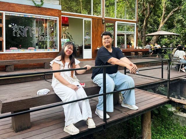 บ้านในหมง treehouse ระนอง